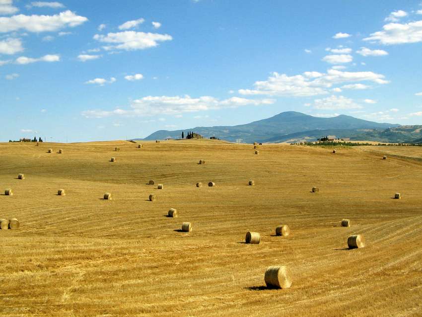 Le Valutazioni Ambientali (VIA, VAS, VI): aspetti procedurali, tecnici e casi applicativi